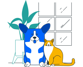 Pet Insurance